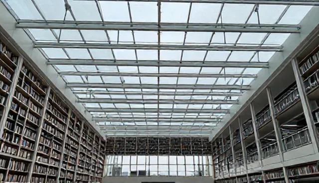 公司网络建设方案：构建精准营销的供需匹配新路径